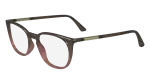 Die Brille CK24513 gibt es auch in der Farbe Braun
