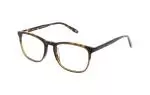 Die Brille HPL821 gibt es auch in der Farbe Grün