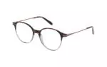 Die Brille HPL824 gibt es auch in der Farbe Havanna